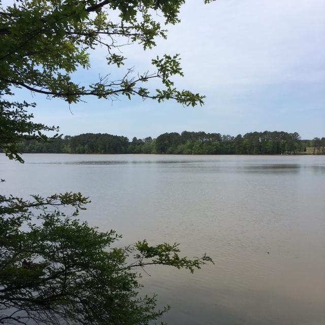 Lake Wateree Properties "Working for YOU"